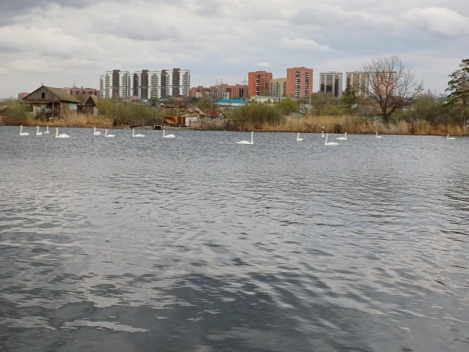 Сдам в аренду дачу р-н Горводоканала,