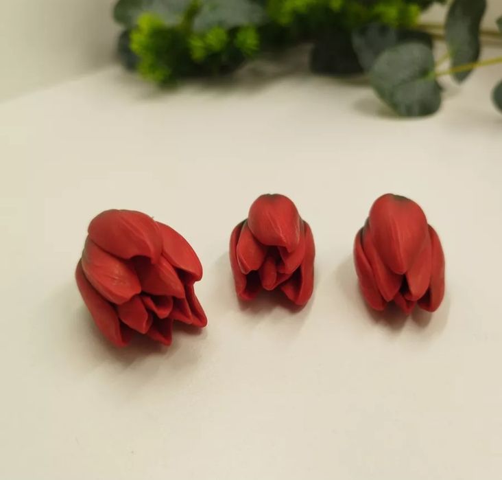 Набор молдов Тюльпаны