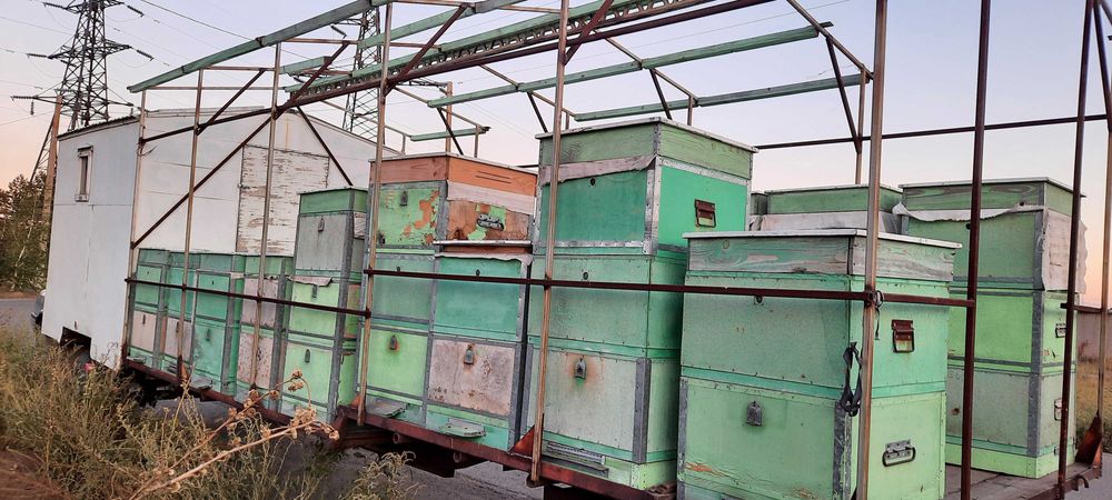 Продам прицеп пасечный