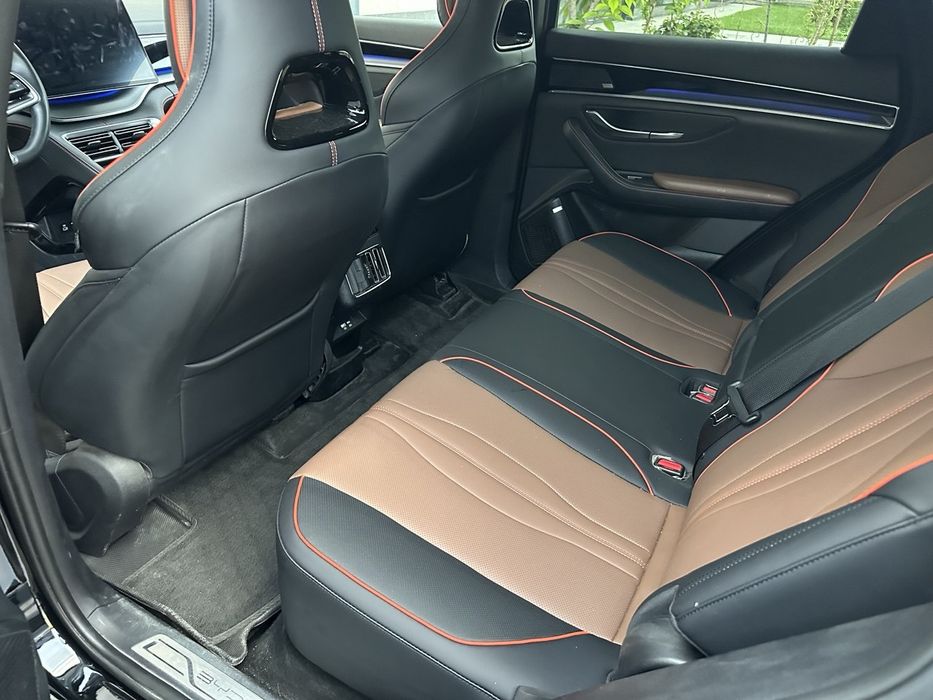 Champion d-mi hybrid Ofitsalniy