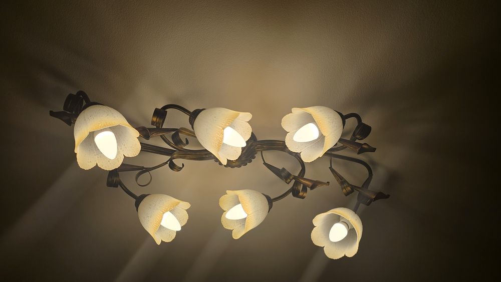 Осветителни тела с влючени LED крушки Philips