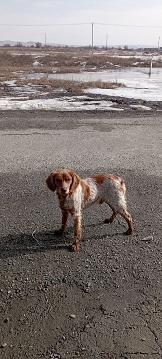 Уштобе Охотниши.