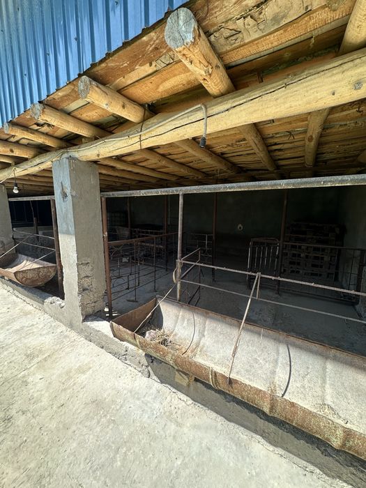 16 sotix joy + orqasi dala SROCHNA SOTILADI!