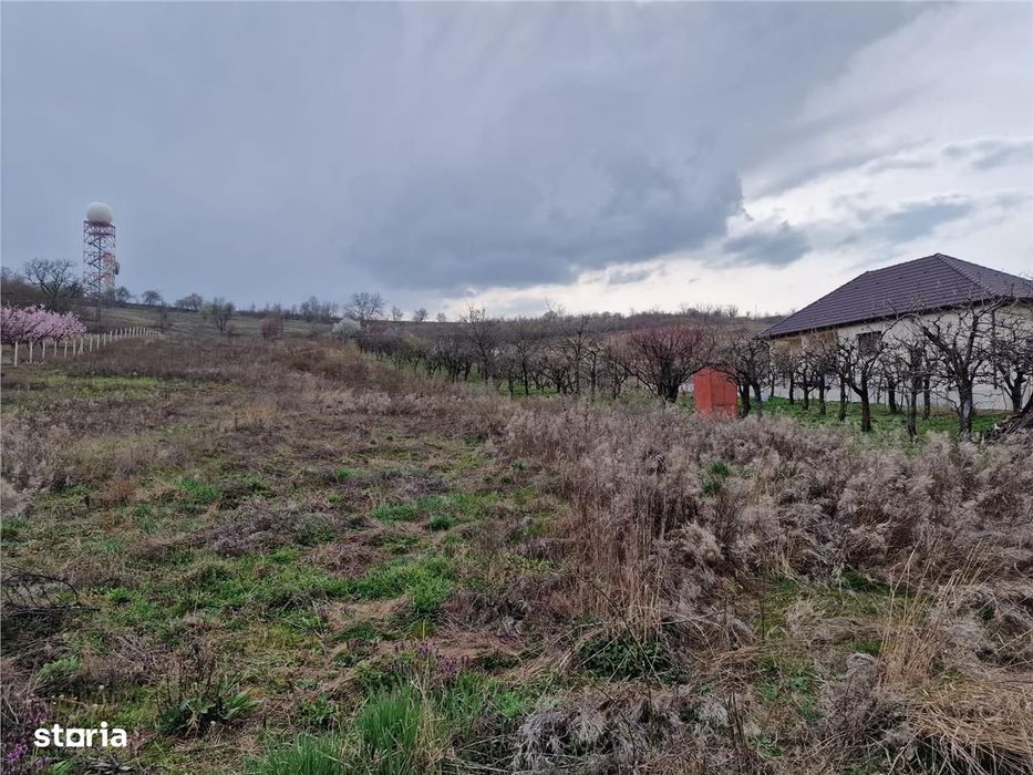 Teren intravilan in Oncea, str. Prunilor