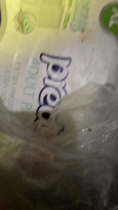 Pampers adulti - marime XL