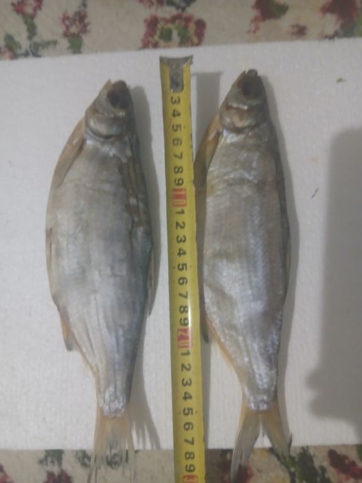 Пила на батарейки