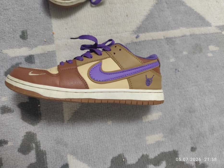 Nike Dunk sb 40 size