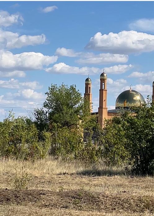Земля в подстепном ЗКО
