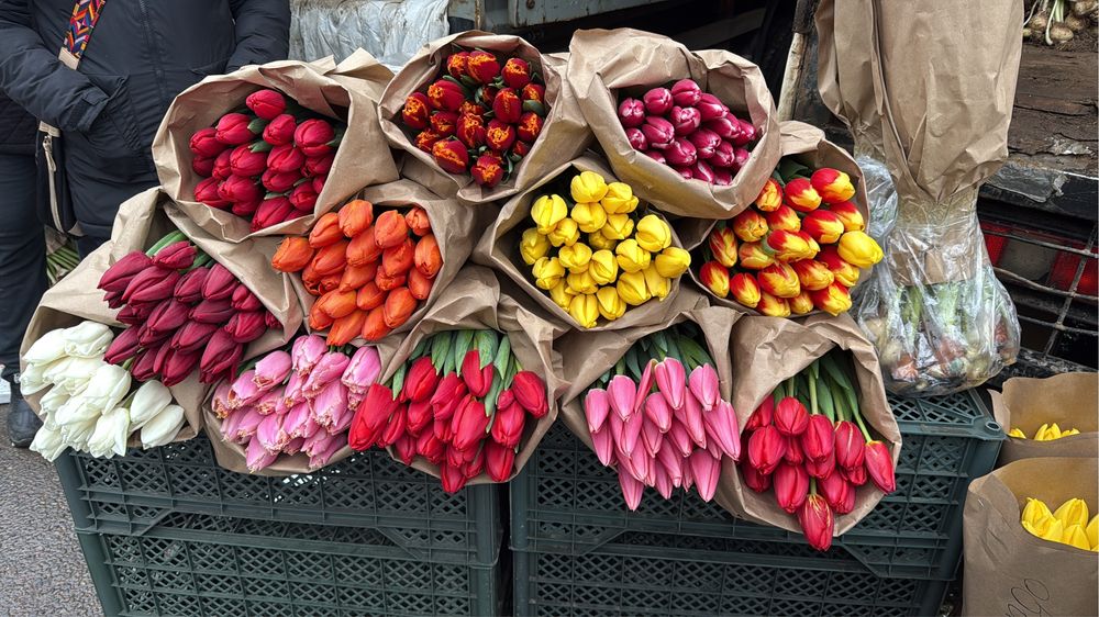 Тюльпаны оптом Алматы