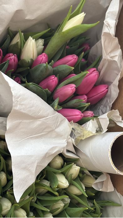 Тюльпаны Голландия.Доставка!Букеты