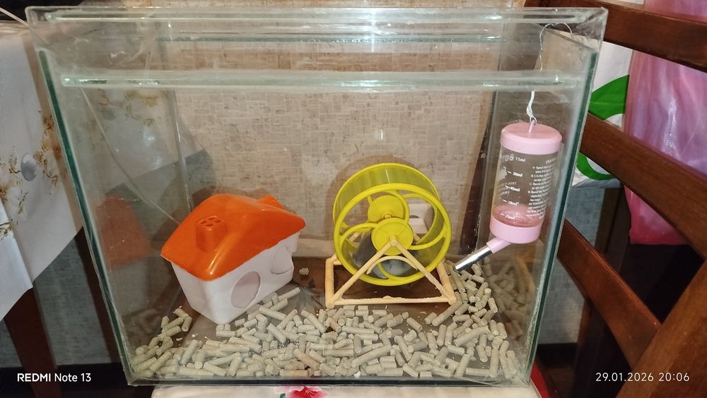 Набор для хомячков