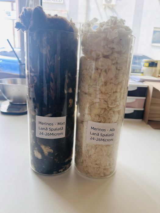 Lână Merinos 24–26 Microni – Albă și Mix Natural | Pentru Fire, Tricotat, Pilote și Produse Premium