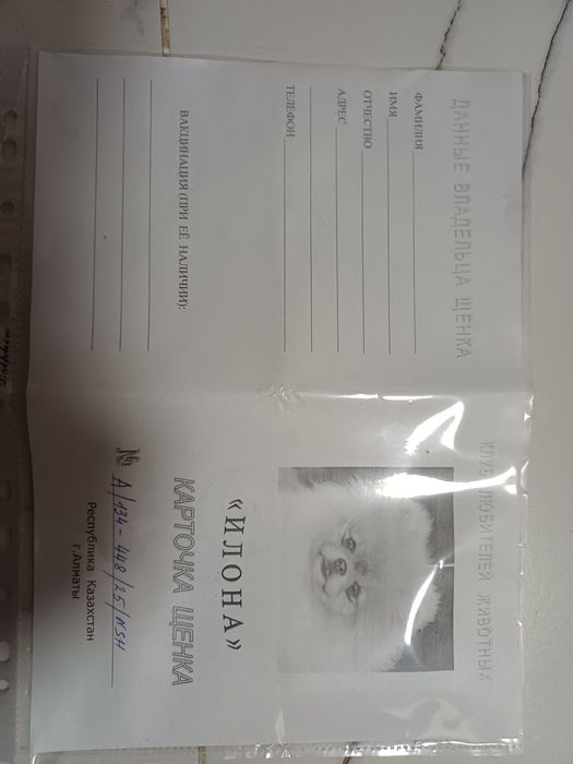 Продам немецкого шпица