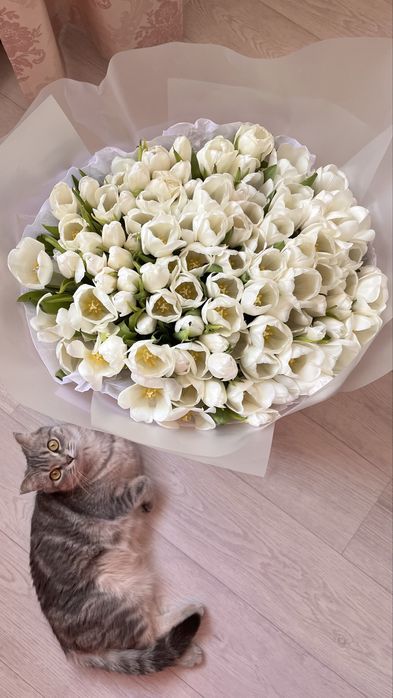 букет из 101 тюльпана