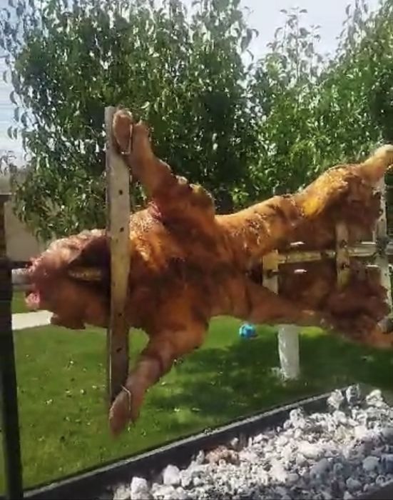 Protap electric pentru evenimente