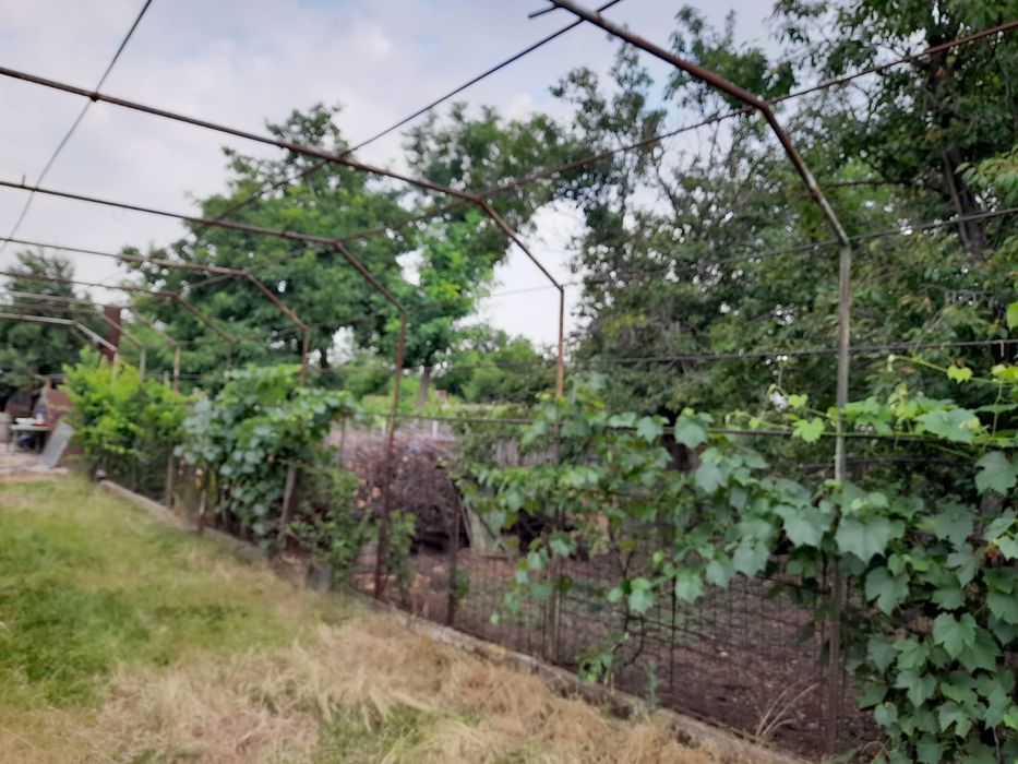 Vând casa și teren