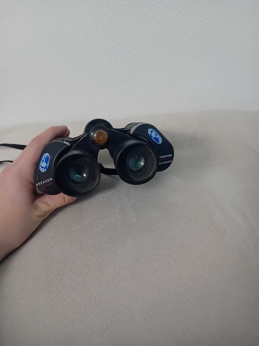 Binocliu deers la munte