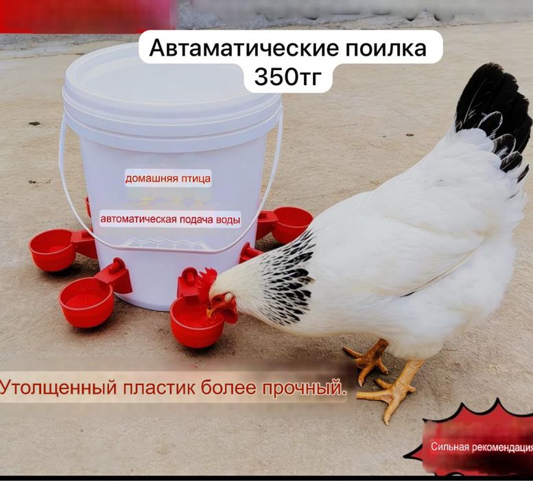 Поилка кармушка Атырау