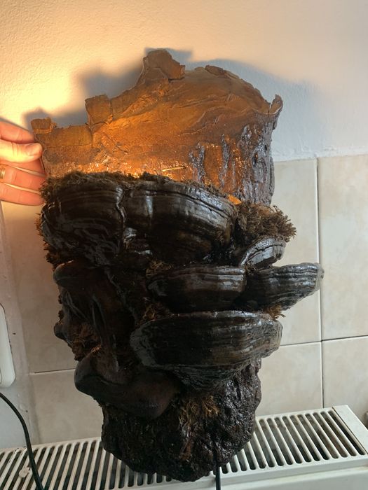 Vand veioza rustica(Handmade)