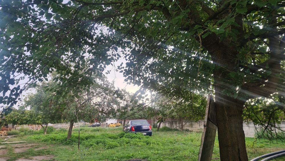 Închiriez / Vand imobil cu destinație: producție sau ferma