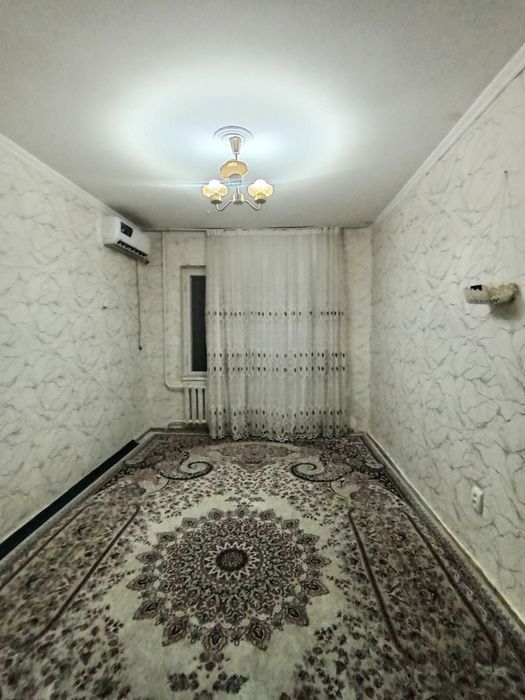 Qoraqamish 1/4. Sarbon universiteti, Oriental, Karzinka yonida