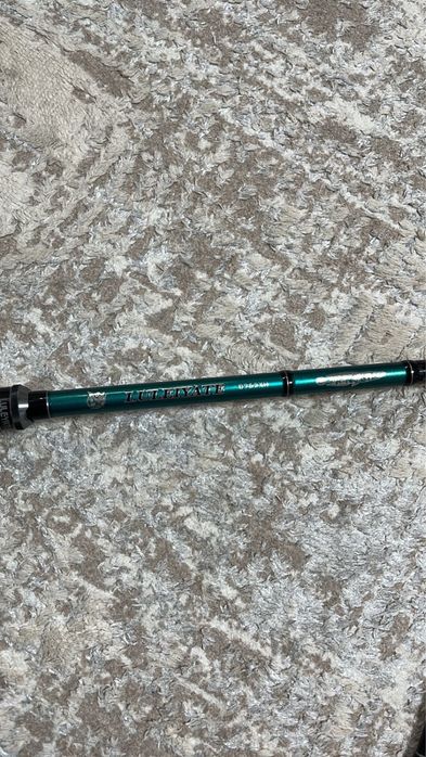 Спиннинги для ловли змееголова