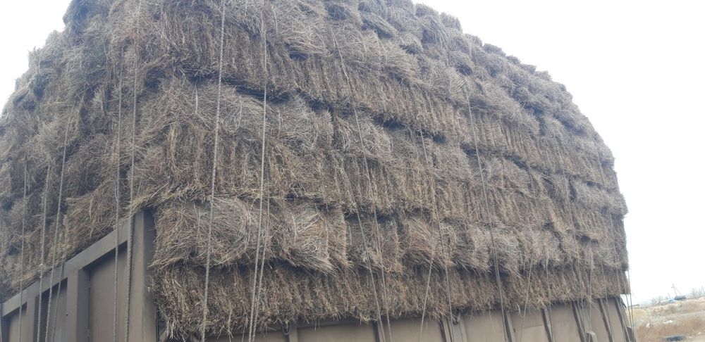 Продам Сено тюкой