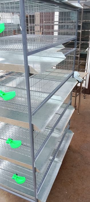 Клетка для перепелов