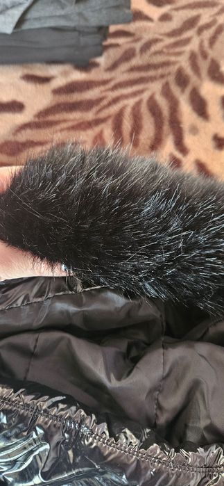 Къса пухенка черна