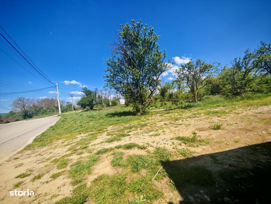 Teren central intravilan in Mioveni