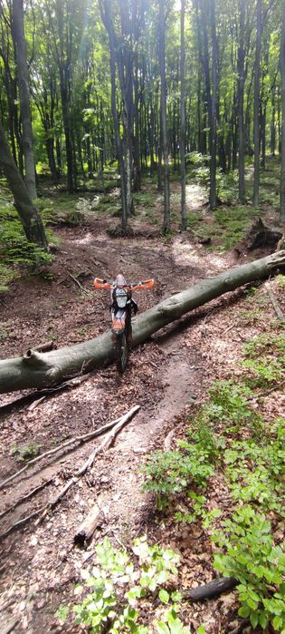 Кросов мотор telstar 250 cc