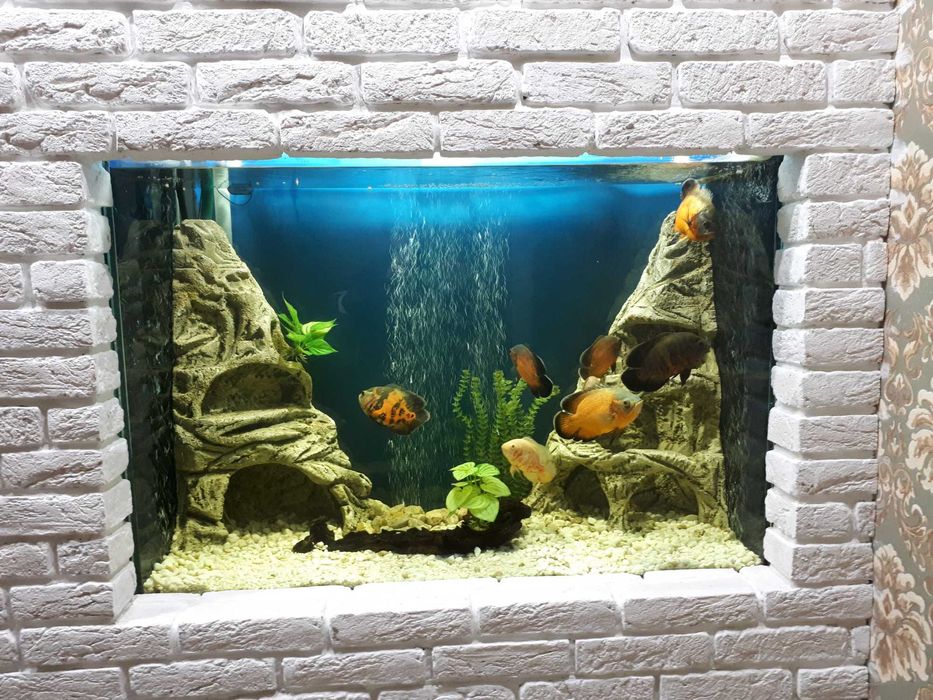 Аквариум 600 литров