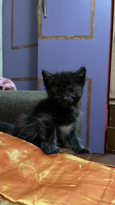 Хороший друг для Вас