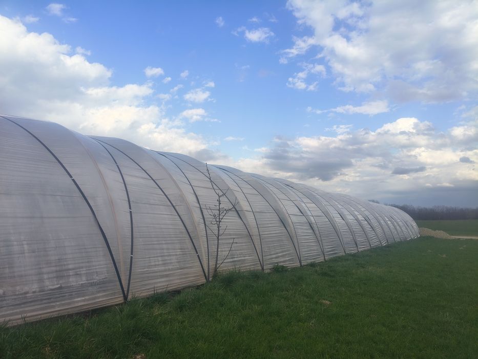 Tiava roluita 48.3 cu 3 MM  groasa 21.5 kg  135 de Ron bucata u