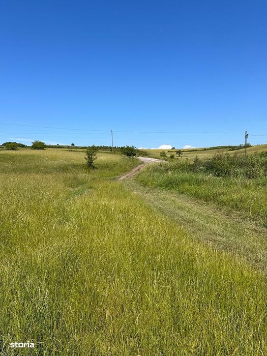 Teren extravilan 54.500 mp, lângă pădure, între Lovnic – Văleni