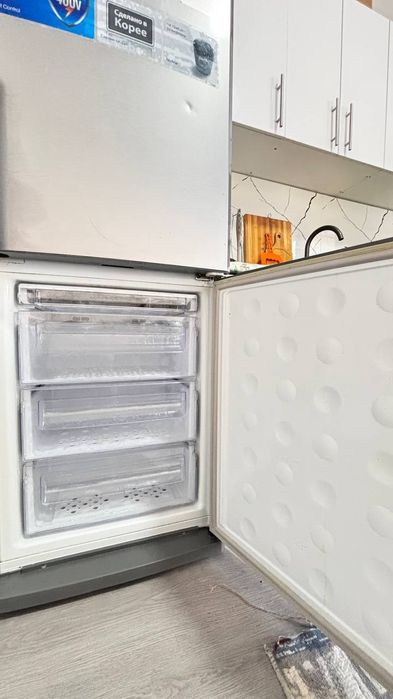 Xolati yangi urulgan qirilgan joyi yo'q