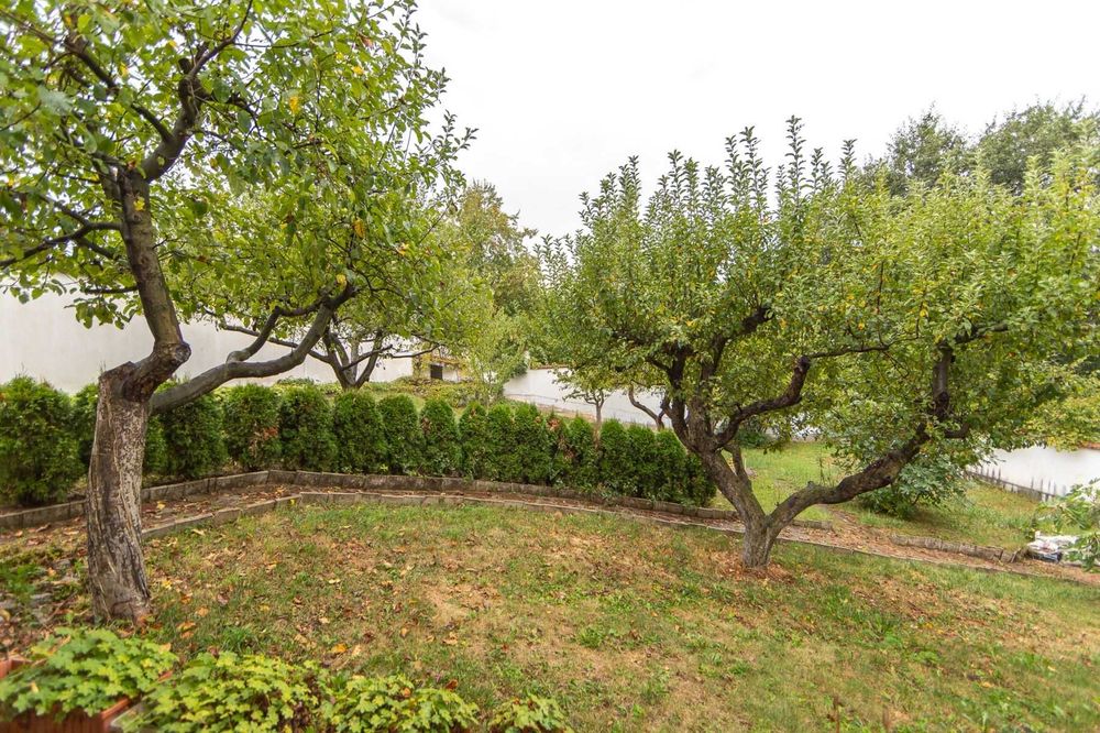 Дава се под наем Къща в София, в.з. Малинова долина - 375 кв.м за 1650 € - Снимка #11