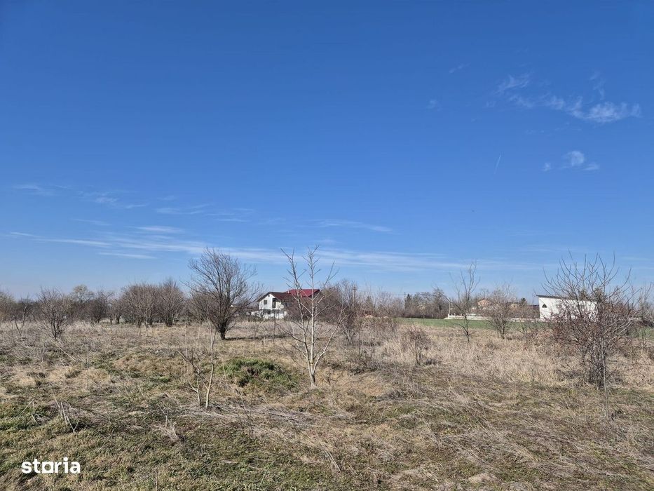 Trestieni - Ulmi, vanzare teren 1.663mp, intravilan
