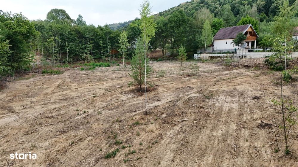 Teren intravilan superb 5000mp in Tocile