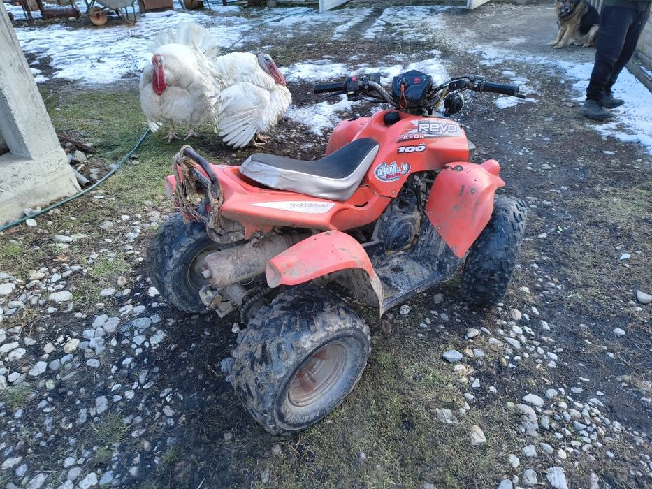 ATV aeon cobra 100cc