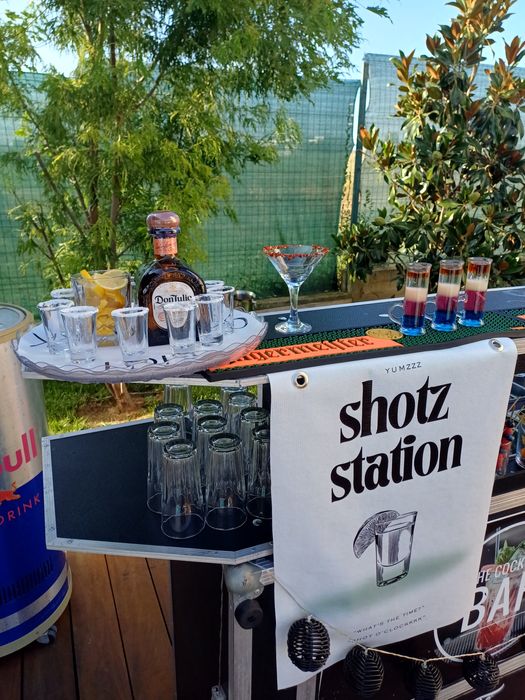 The Cocktail Bar / Bar mobil / Tort de shot-uri /Barman evenimente /
