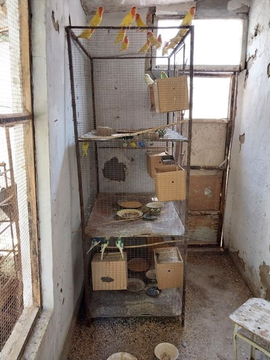 Папугайлар учун клетка