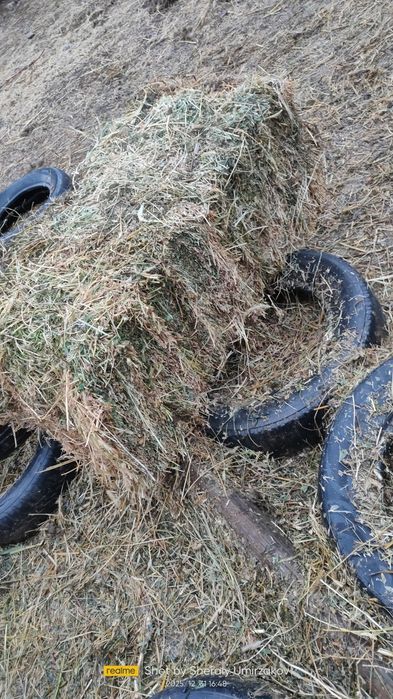 Шөп Сатылады. Бағасы 1600теңге