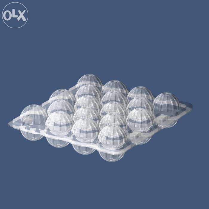 Бокс для перепелиного яйца