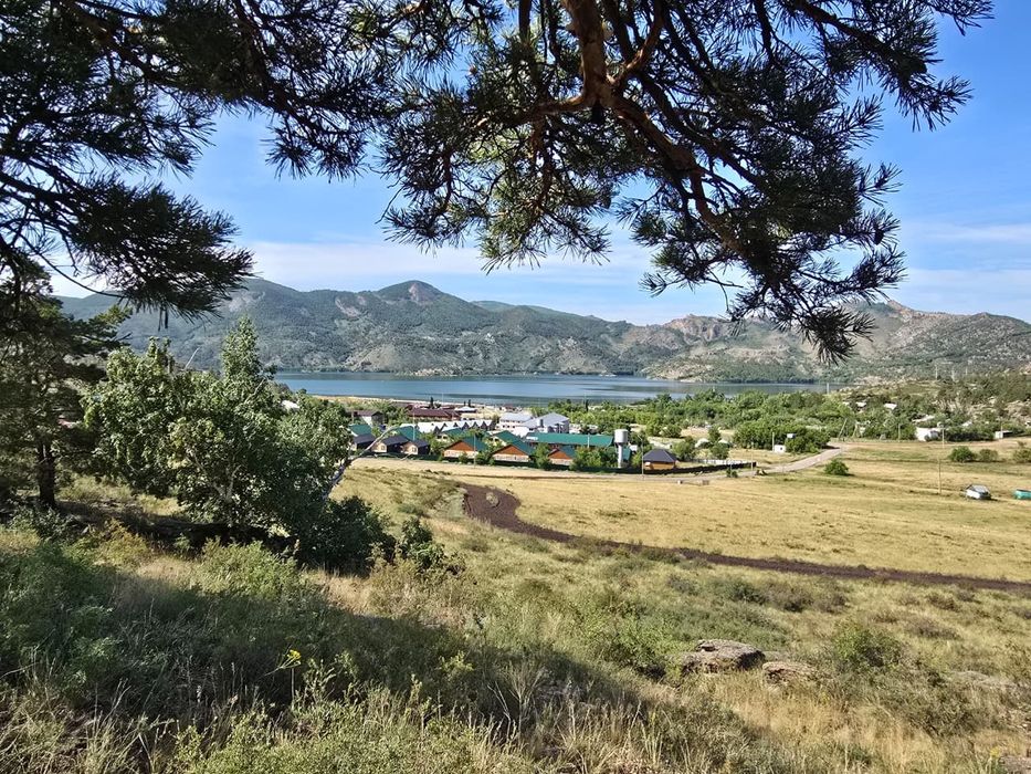 Продам дрова в мешках