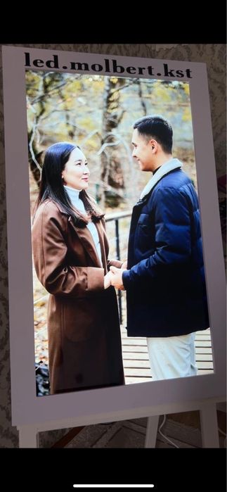 Готовый бизнес Led Molbert