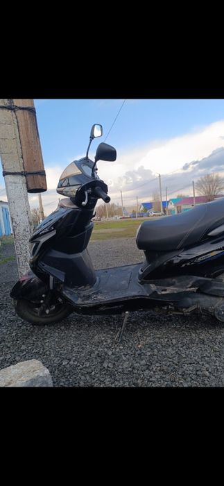 Продам коня рабочий