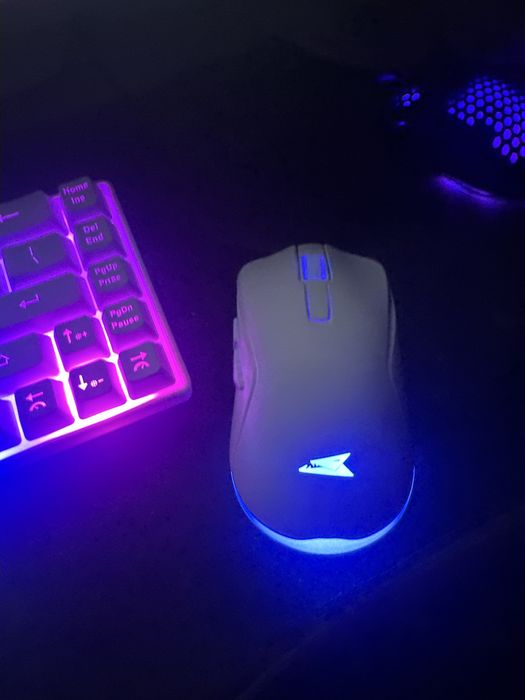 Mouse gaming baracuda turtle