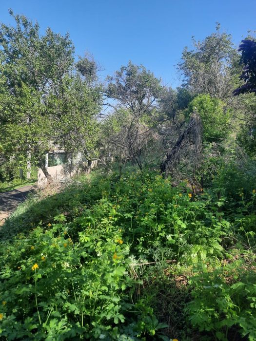 Продам дачу в Медеуском районе