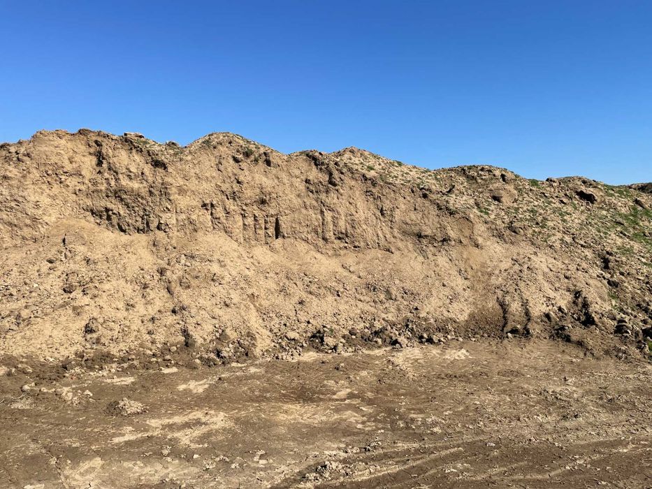 Доставка на хумус за озеленяване и градини